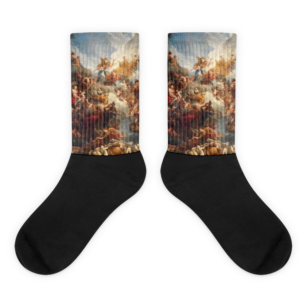 Palace of Versaille Socks