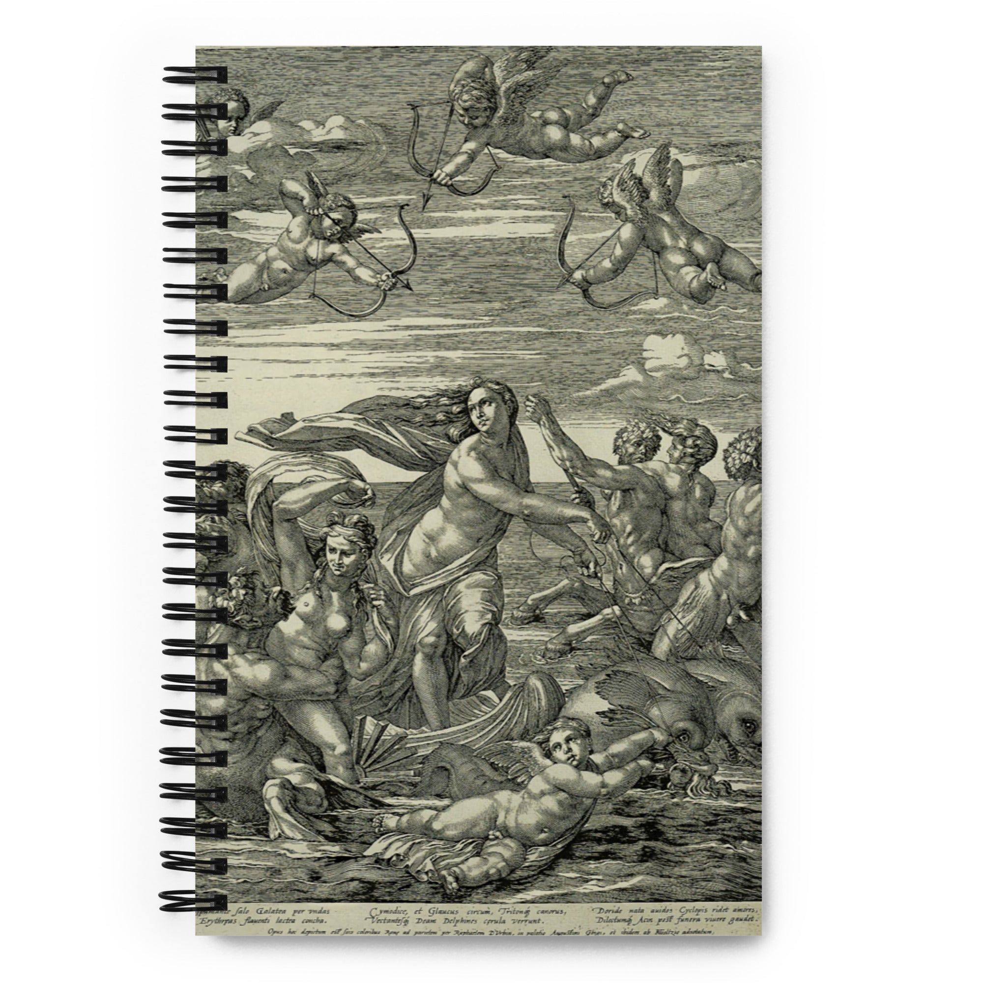 Triumph of Galatea Notebook